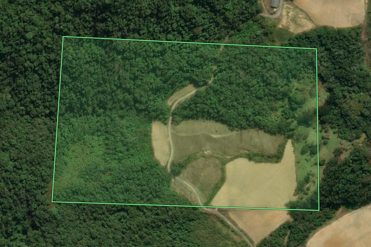 Imagem de satélite do imóvel rural em Leoberto Leal (SC), com o contorno declarado no CAR desenhado por cima.