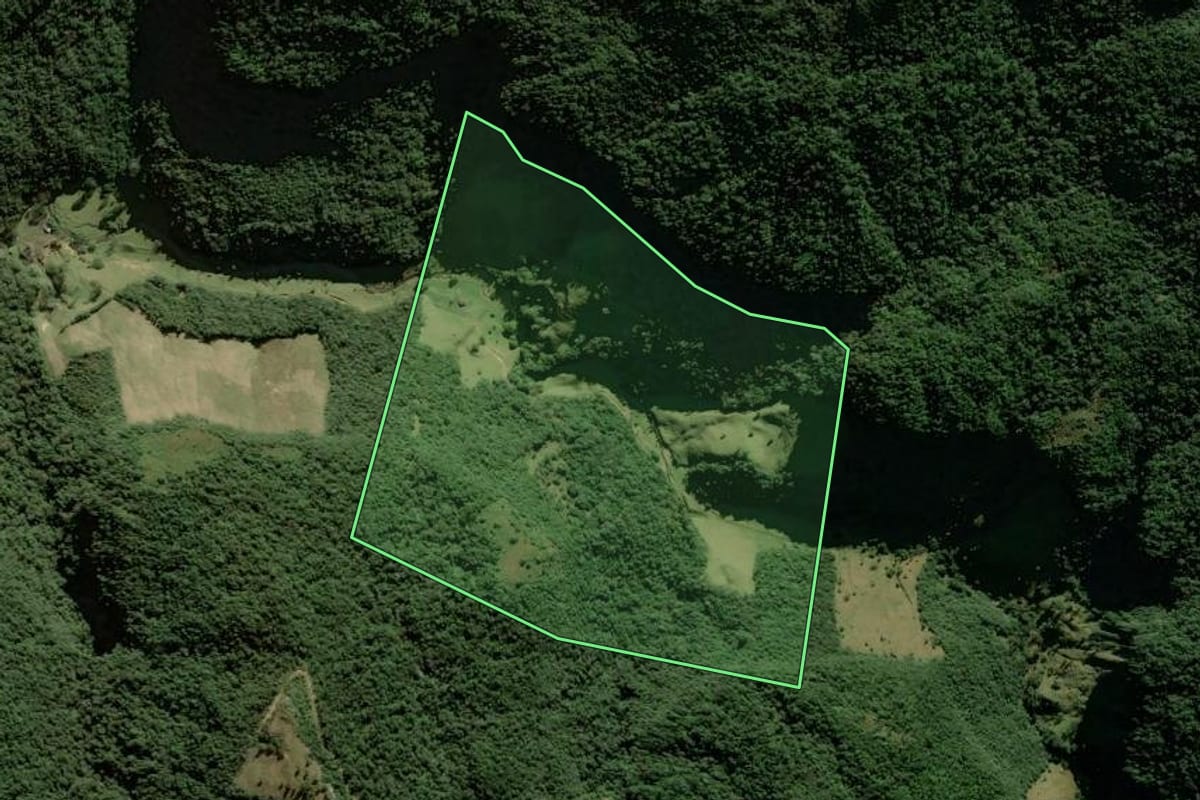 Imagem de satélite do imóvel rural em Leoberto Leal (SC), com o contorno declarado no CAR desenhado por cima.