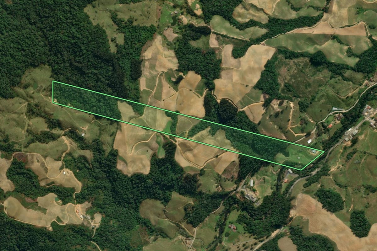 Imagem de satélite do imóvel rural em Leoberto Leal (SC), com o contorno declarado no CAR desenhado por cima.