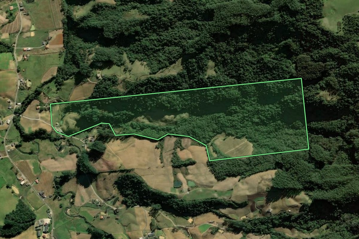 Imagem de satélite do imóvel rural em Leoberto Leal (SC), com o contorno declarado no CAR desenhado por cima.