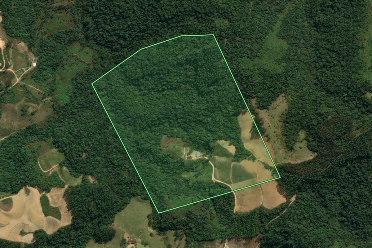 Imagem de satélite do imóvel rural em Leoberto Leal (SC), com o contorno declarado no CAR desenhado por cima.