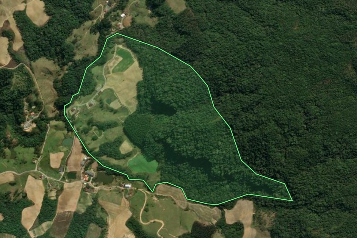 Imagem de satélite do imóvel rural em Leoberto Leal (SC), com o contorno declarado no CAR desenhado por cima.