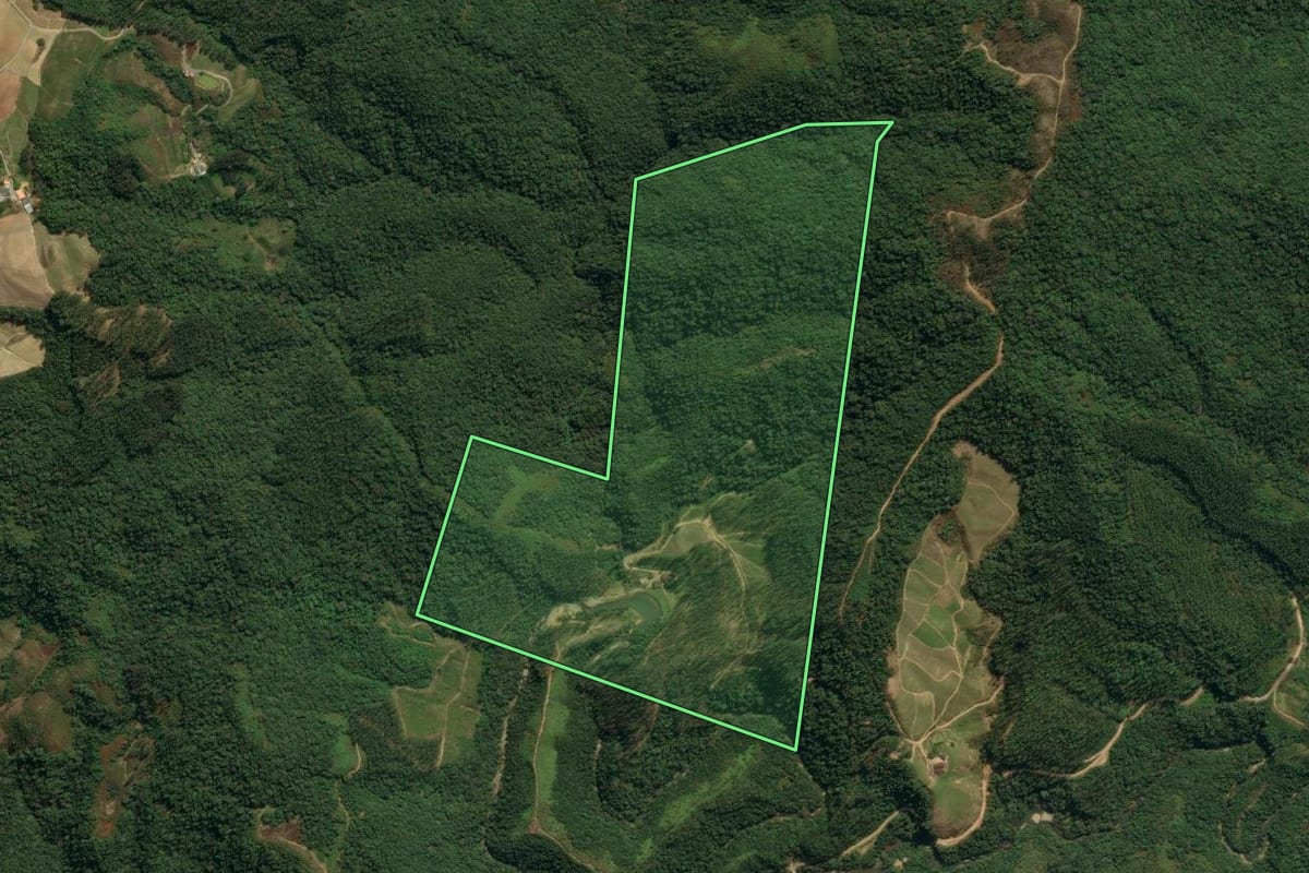 Imagem de satélite do imóvel rural em Leoberto Leal (SC), com o contorno declarado no CAR desenhado por cima.
