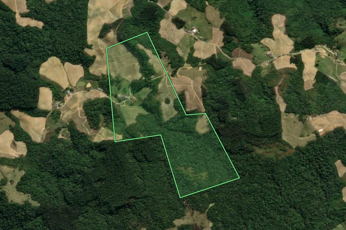 Imagem de satélite do imóvel rural em Leoberto Leal (SC), com o contorno declarado no CAR desenhado por cima.