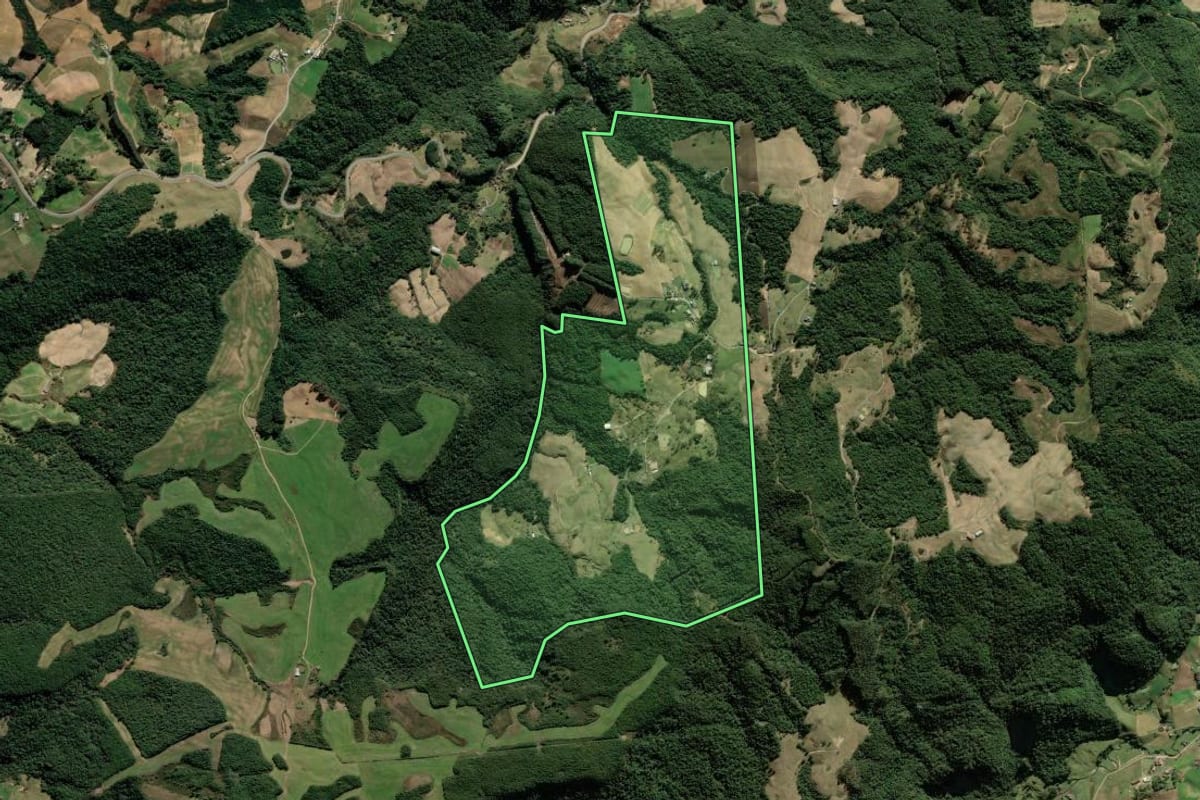 Imagem de satélite do imóvel rural em Leoberto Leal (SC), com o contorno declarado no CAR desenhado por cima.