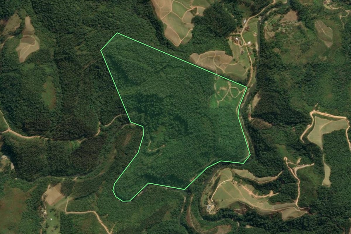 Imagem de satélite do imóvel rural em Leoberto Leal (SC), com o contorno declarado no CAR desenhado por cima.