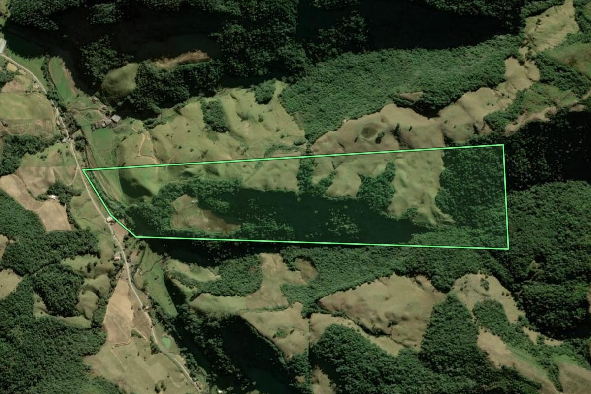 Imagem de satélite do imóvel rural em Leoberto Leal (SC), com o contorno declarado no CAR desenhado por cima.