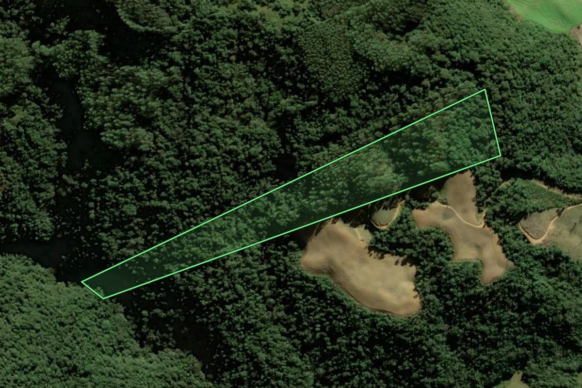 Imagem de satélite do imóvel rural em Leoberto Leal (SC), com o contorno declarado no CAR desenhado por cima.