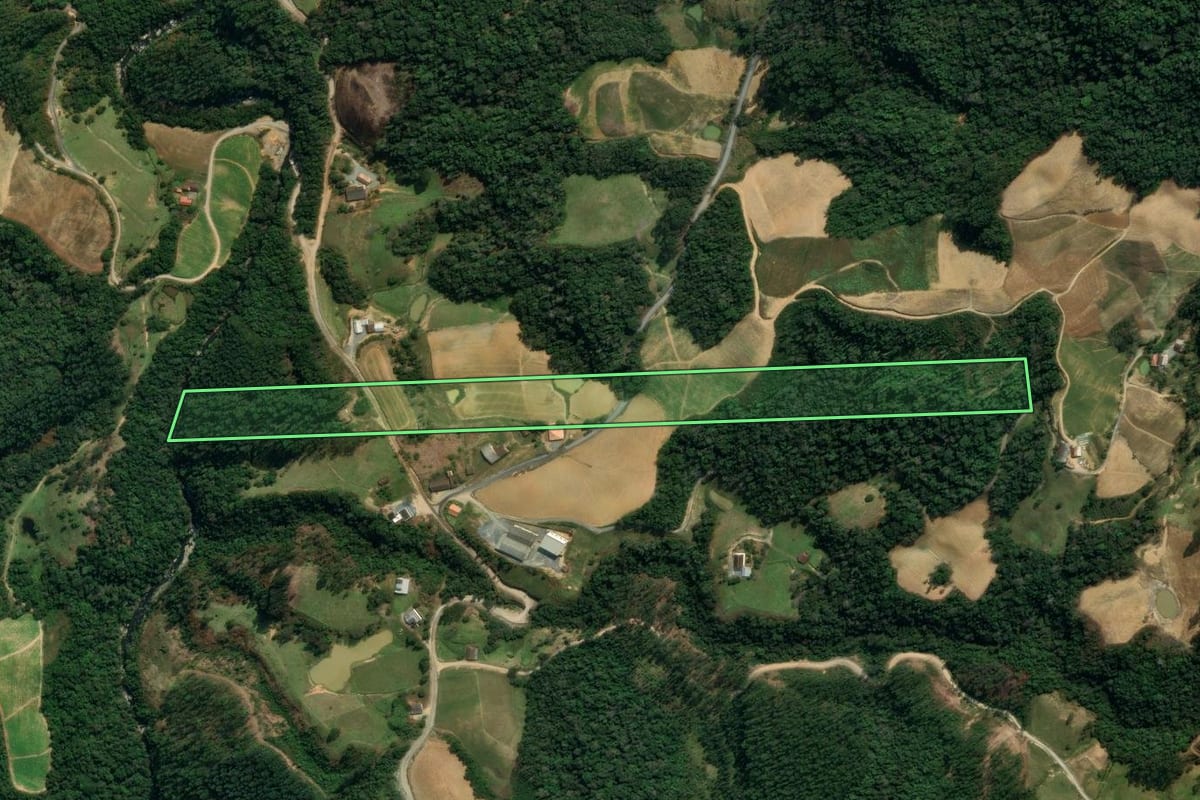 Imagem de satélite do imóvel rural em Leoberto Leal (SC), com o contorno declarado no CAR desenhado por cima.