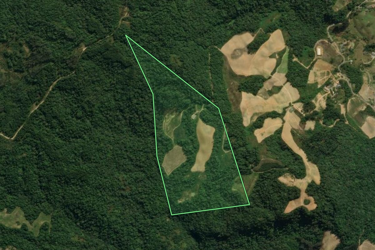 Imagem de satélite do imóvel rural em Leoberto Leal (SC), com o contorno declarado no CAR desenhado por cima.