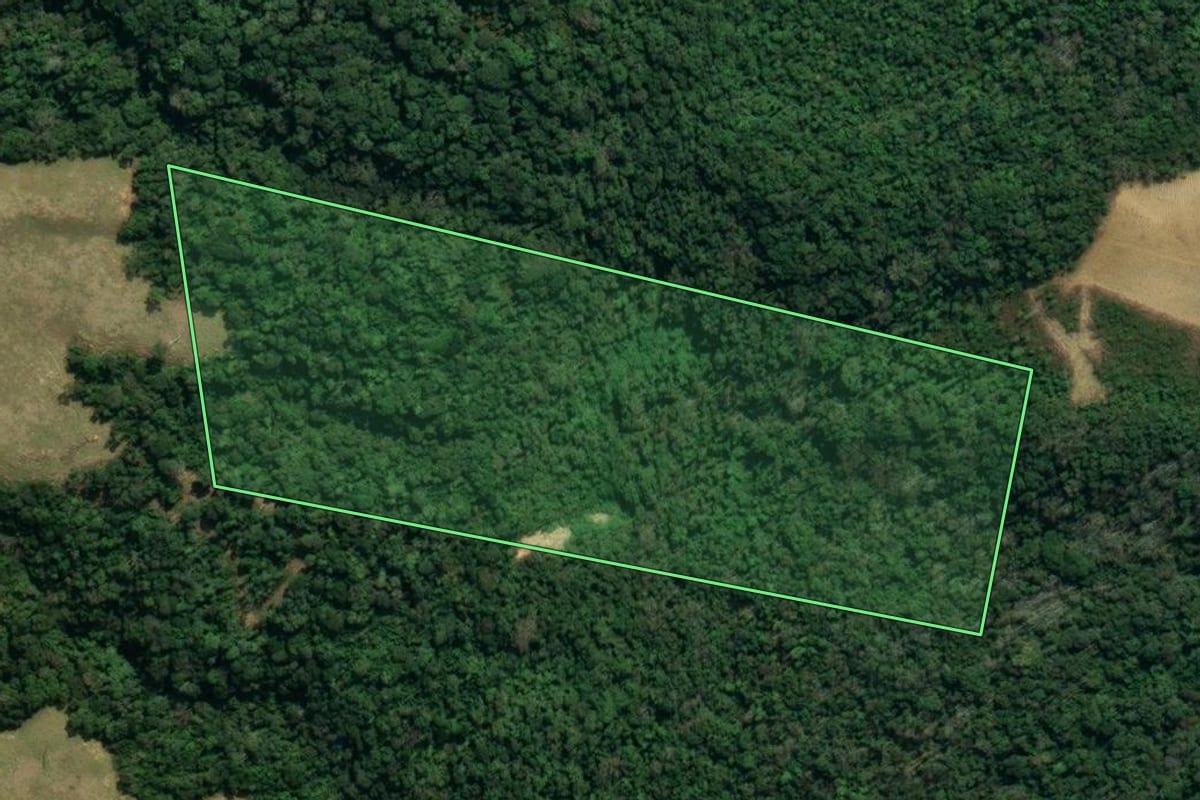 Imagem de satélite do imóvel rural em Leoberto Leal (SC), com o contorno declarado no CAR desenhado por cima.