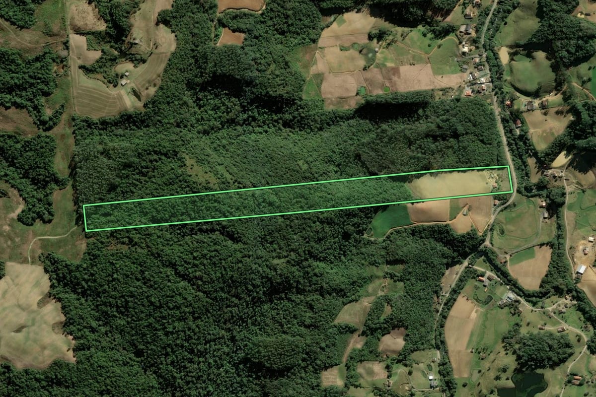 Imagem de satélite do imóvel rural em Leoberto Leal (SC), com o contorno declarado no CAR desenhado por cima.