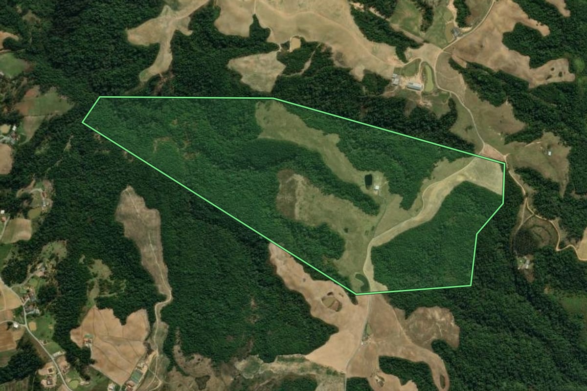 Imagem de satélite do imóvel rural em Leoberto Leal (SC), com o contorno declarado no CAR desenhado por cima.