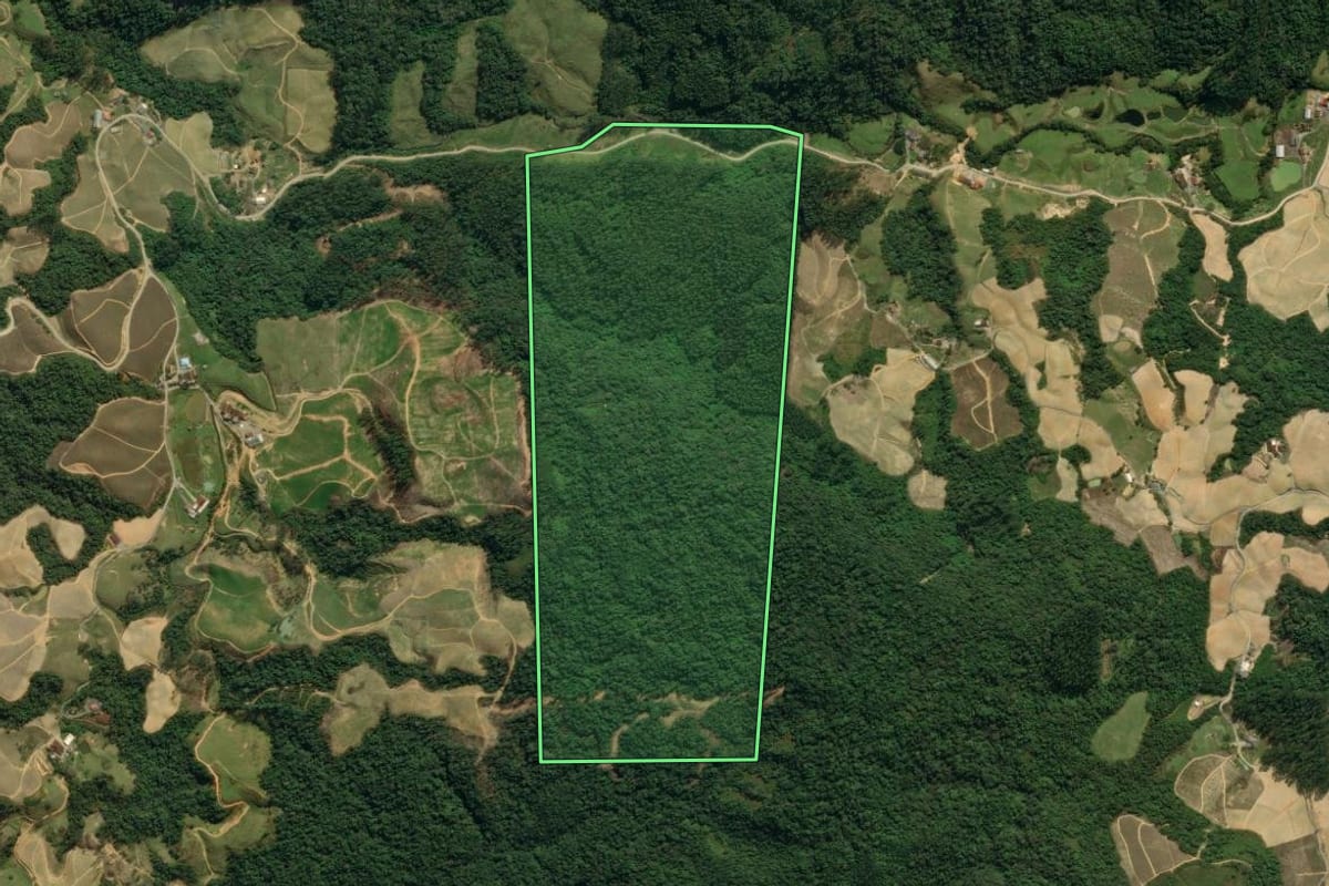 Imagem de satélite do imóvel rural em Leoberto Leal (SC), com o contorno declarado no CAR desenhado por cima.