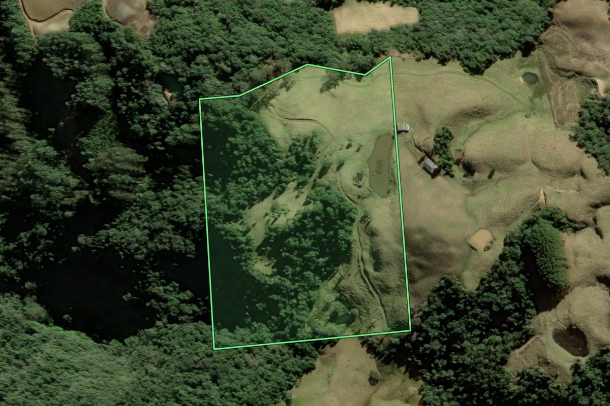 Imagem de satélite do imóvel rural em Leoberto Leal (SC), com o contorno declarado no CAR desenhado por cima.