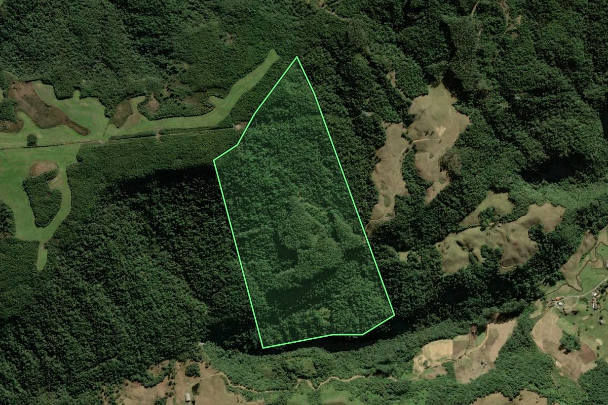 Imagem de satélite do imóvel rural em Leoberto Leal (SC), com o contorno declarado no CAR desenhado por cima.