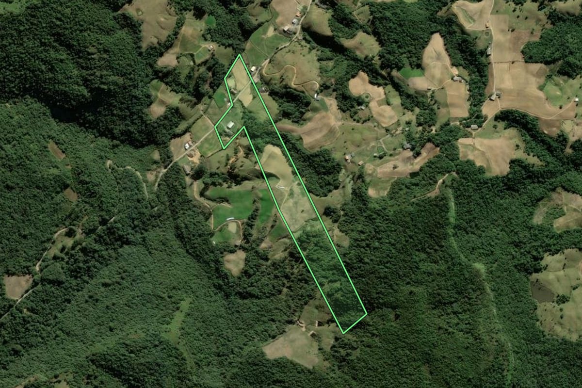 Imagem de satélite do imóvel rural em Leoberto Leal (SC), com o contorno declarado no CAR desenhado por cima.
