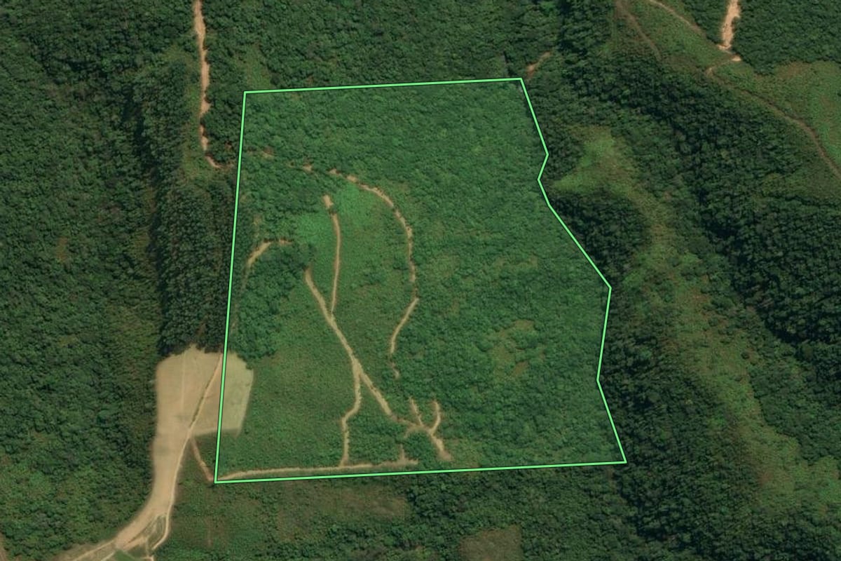 Imagem de satélite do imóvel rural em Leoberto Leal (SC), com o contorno declarado no CAR desenhado por cima.