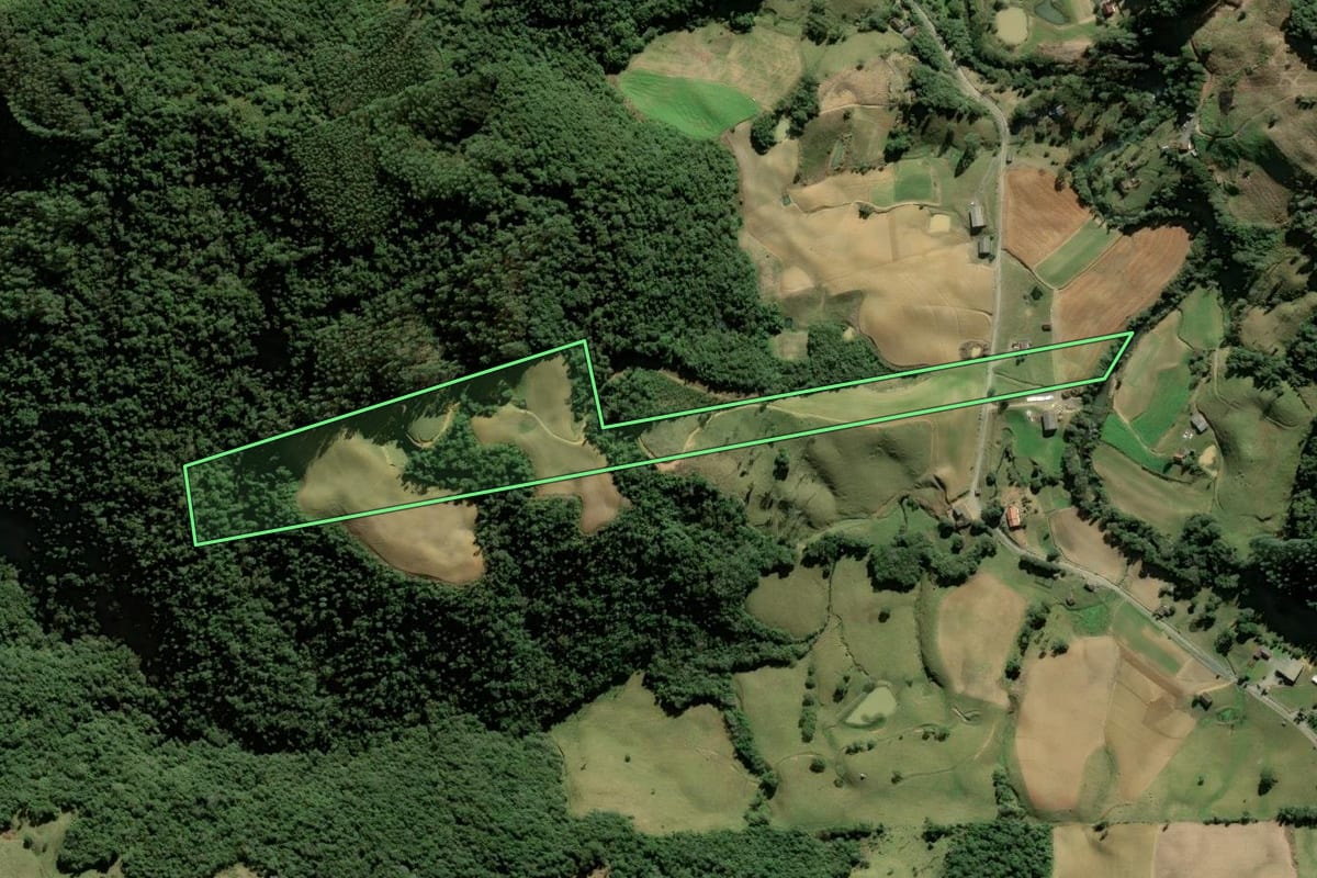 Imagem de satélite do imóvel rural em Leoberto Leal (SC), com o contorno declarado no CAR desenhado por cima.