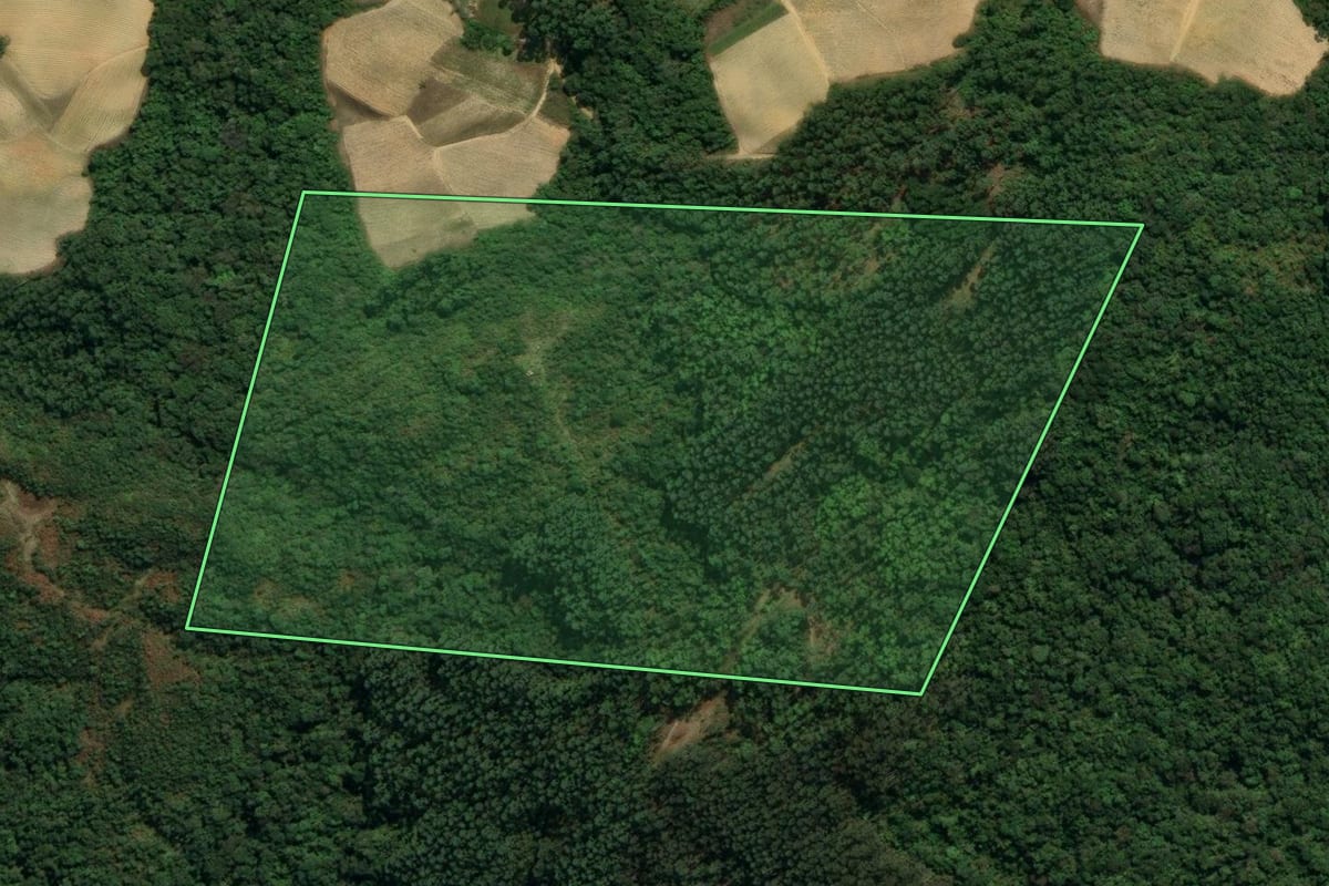 Imagem de satélite do imóvel rural em Leoberto Leal (SC), com o contorno declarado no CAR desenhado por cima.
