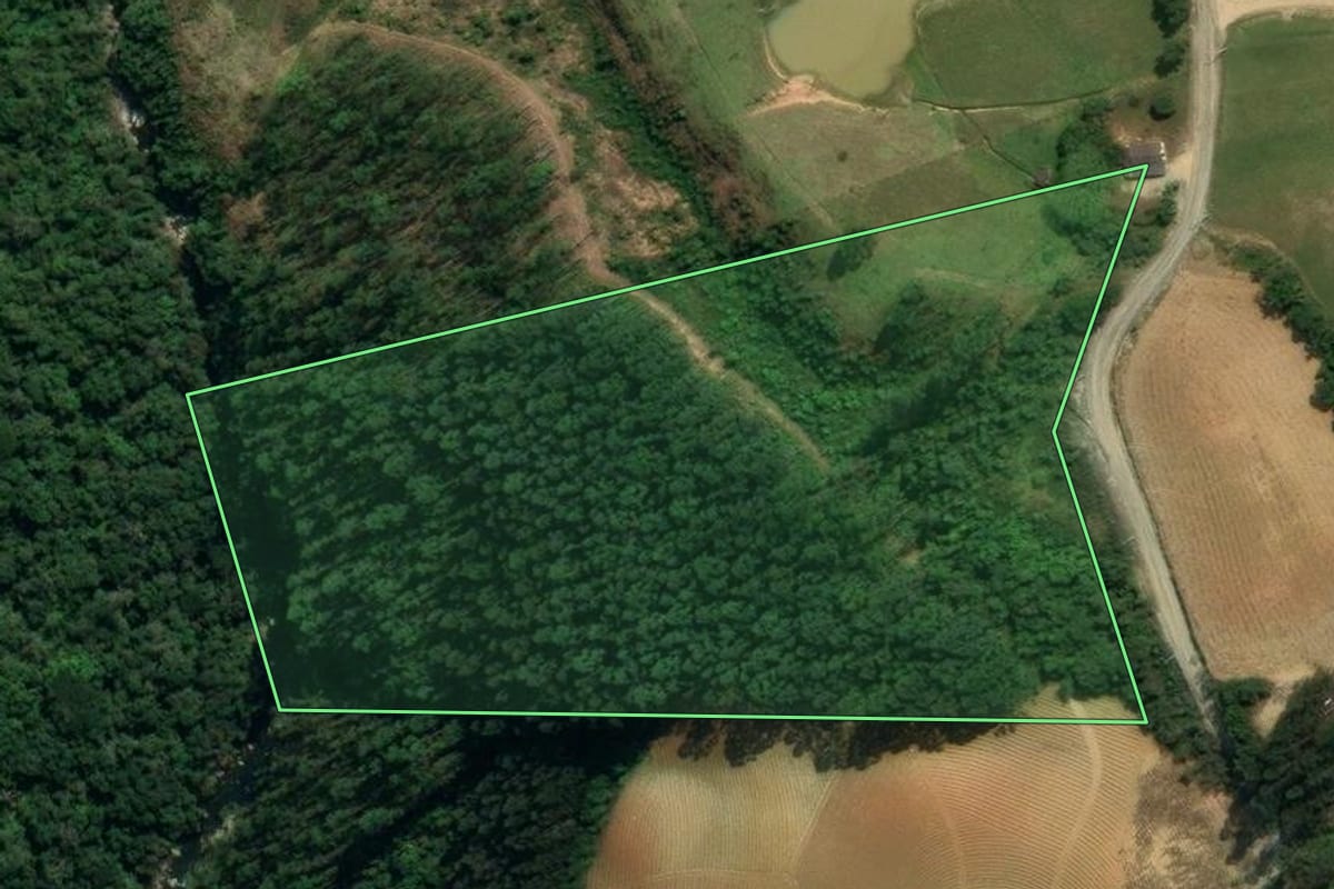 Imagem de satélite do imóvel rural em Leoberto Leal (SC), com o contorno declarado no CAR desenhado por cima.