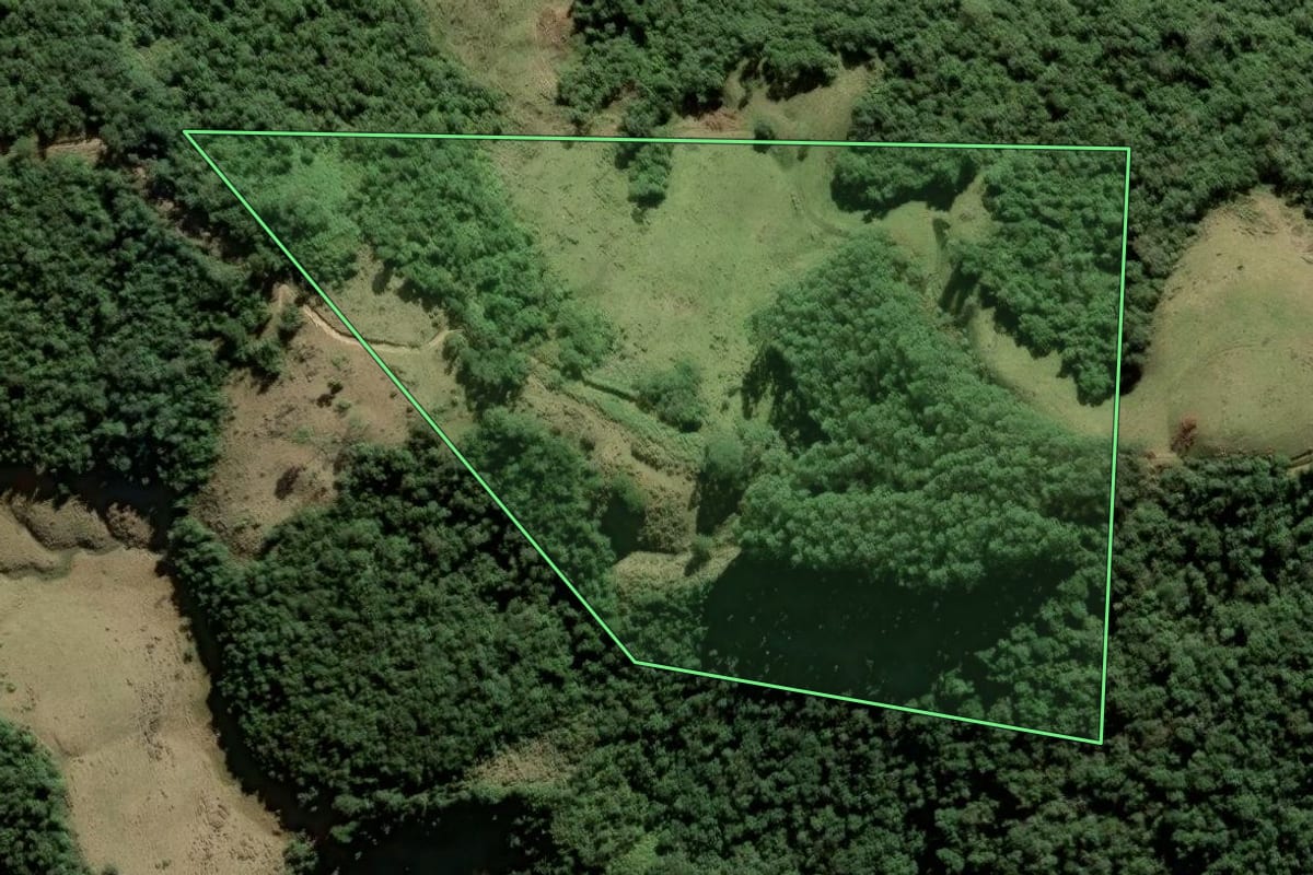 Imagem de satélite do imóvel rural em Leoberto Leal (SC), com o contorno declarado no CAR desenhado por cima.