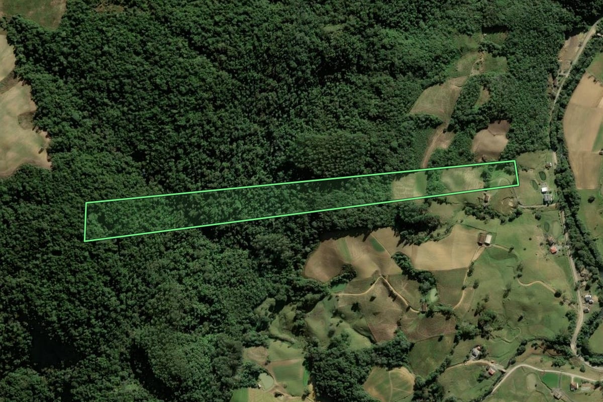 Imagem de satélite do imóvel rural em Leoberto Leal (SC), com o contorno declarado no CAR desenhado por cima.