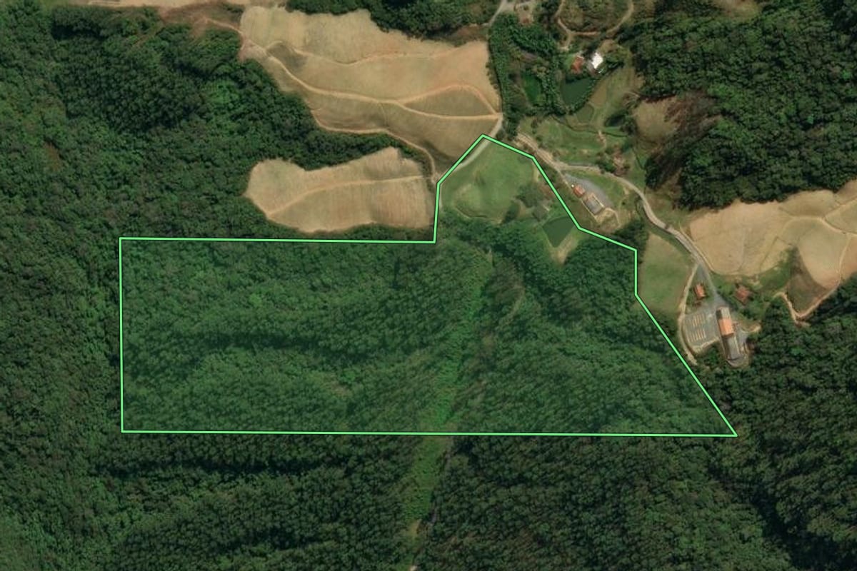 Imagem de satélite do imóvel rural em Leoberto Leal (SC), com o contorno declarado no CAR desenhado por cima.