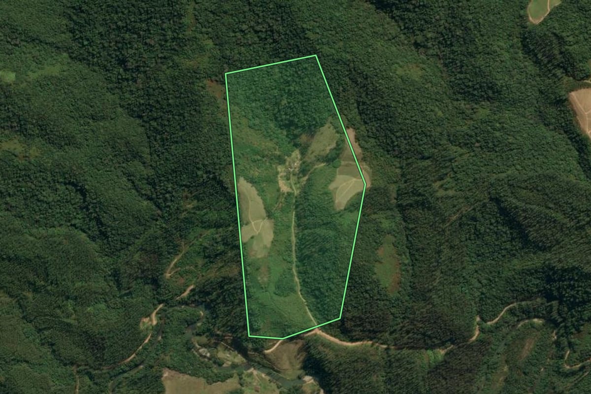 Imagem de satélite do imóvel rural em Leoberto Leal (SC), com o contorno declarado no CAR desenhado por cima.