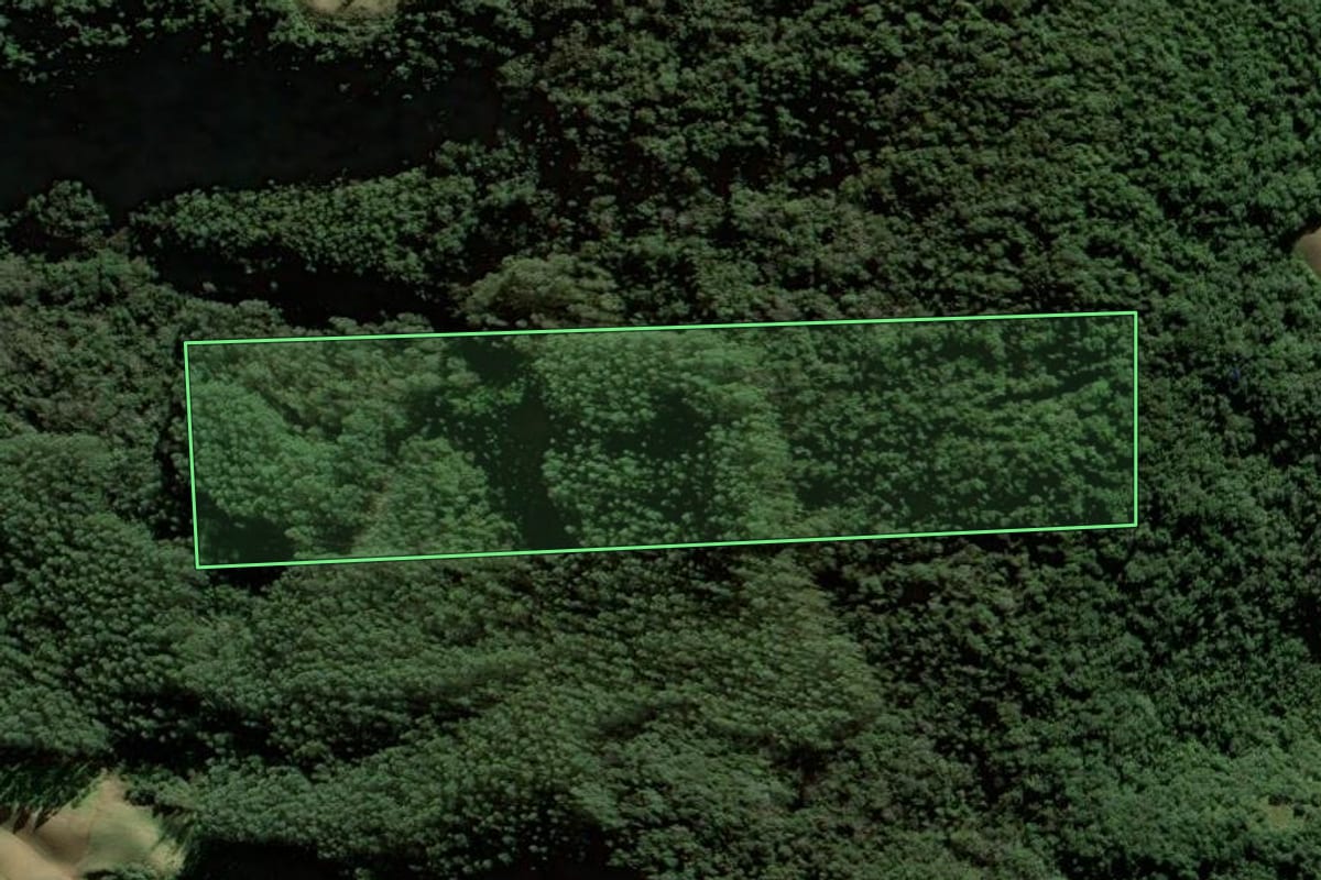 Imagem de satélite do imóvel rural em Leoberto Leal (SC), com o contorno declarado no CAR desenhado por cima.