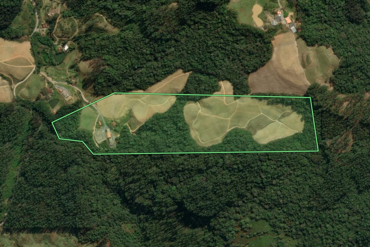 Imagem de satélite do imóvel rural em Leoberto Leal (SC), com o contorno declarado no CAR desenhado por cima.
