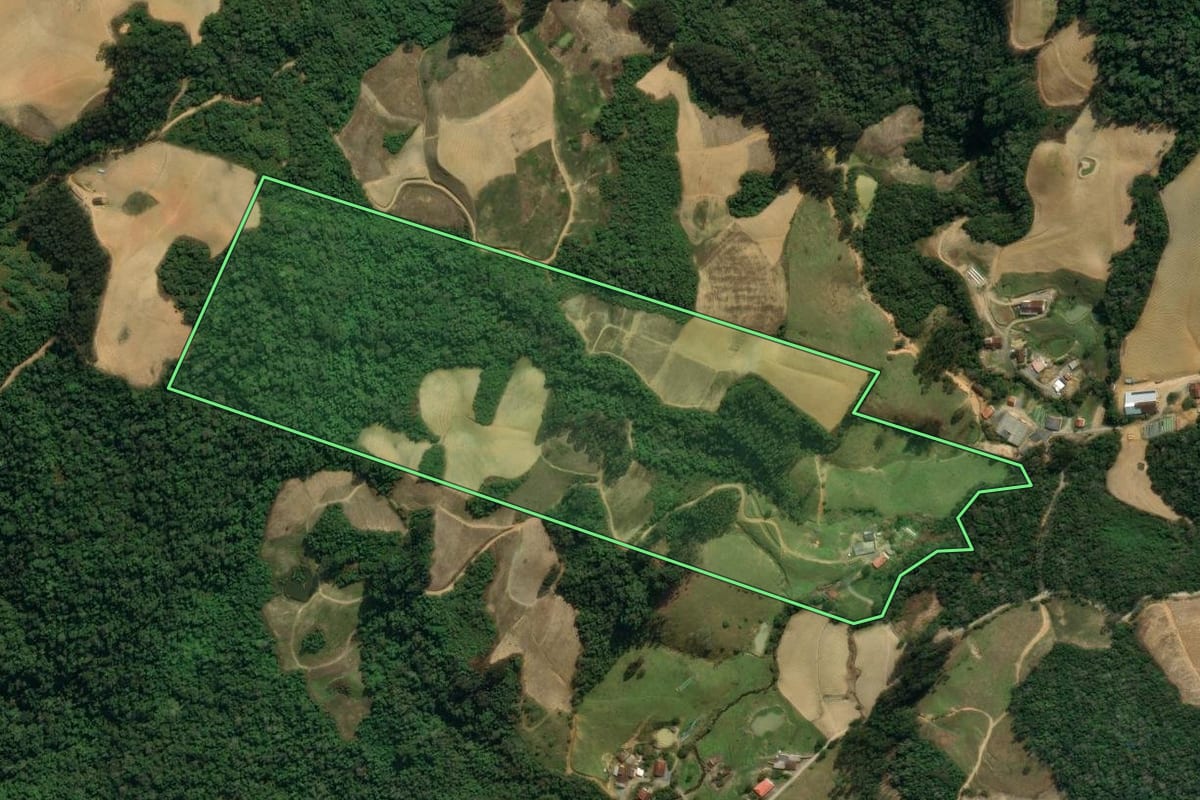 Imagem de satélite do imóvel rural em Leoberto Leal (SC), com o contorno declarado no CAR desenhado por cima.