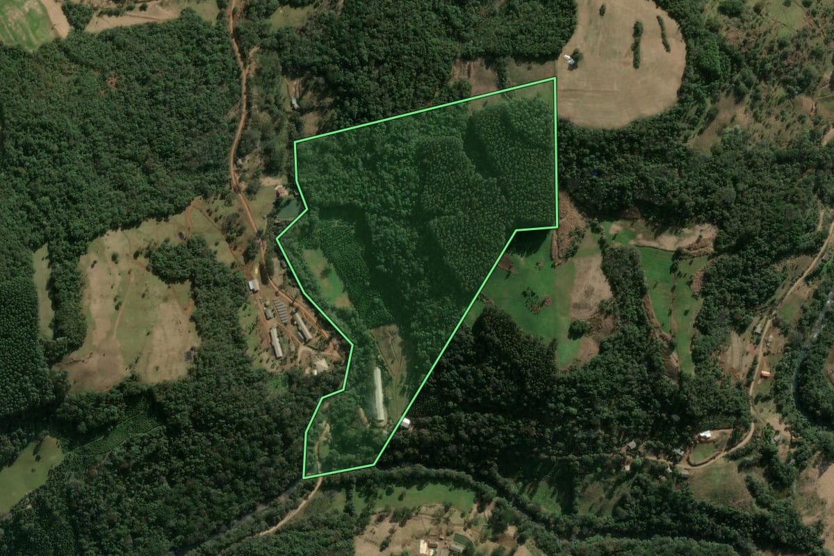Imagem de satélite do imóvel rural em Lindóia do Sul (SC), com o contorno declarado no CAR desenhado por cima.