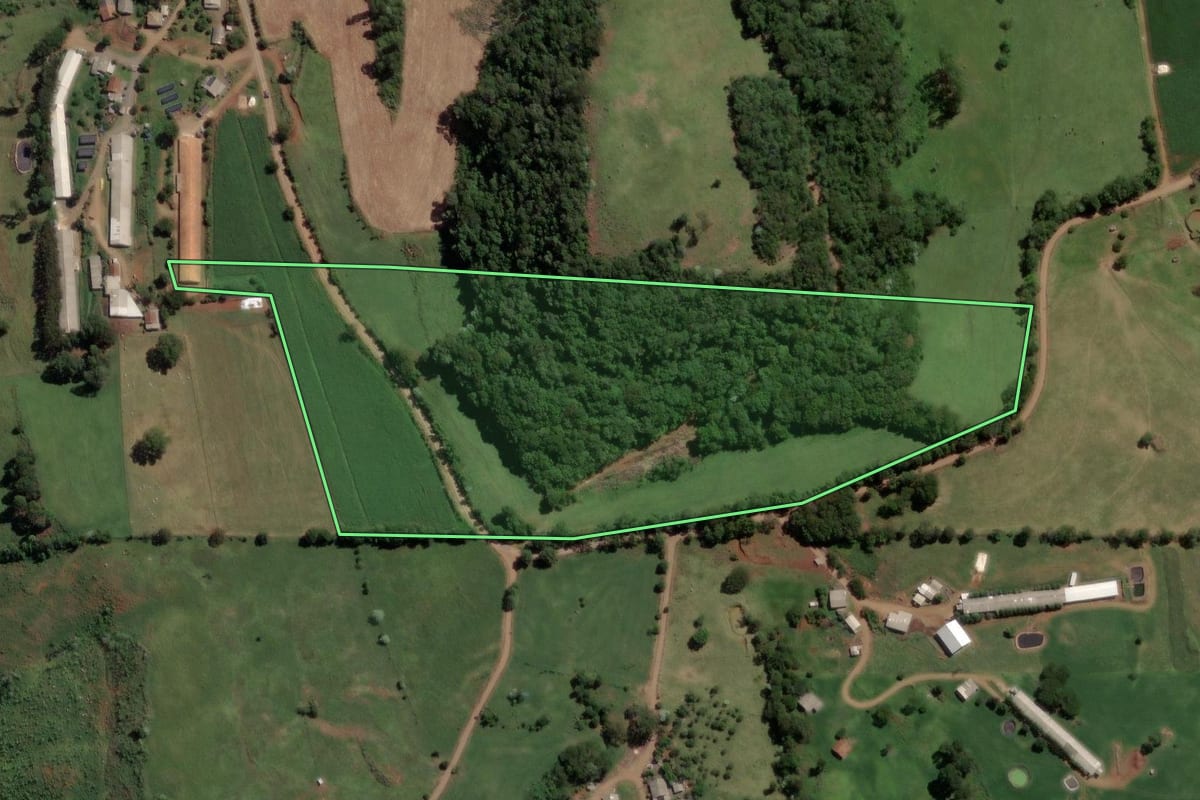 Imagem de satélite do imóvel rural em Lindóia do Sul (SC), com o contorno declarado no CAR desenhado por cima.