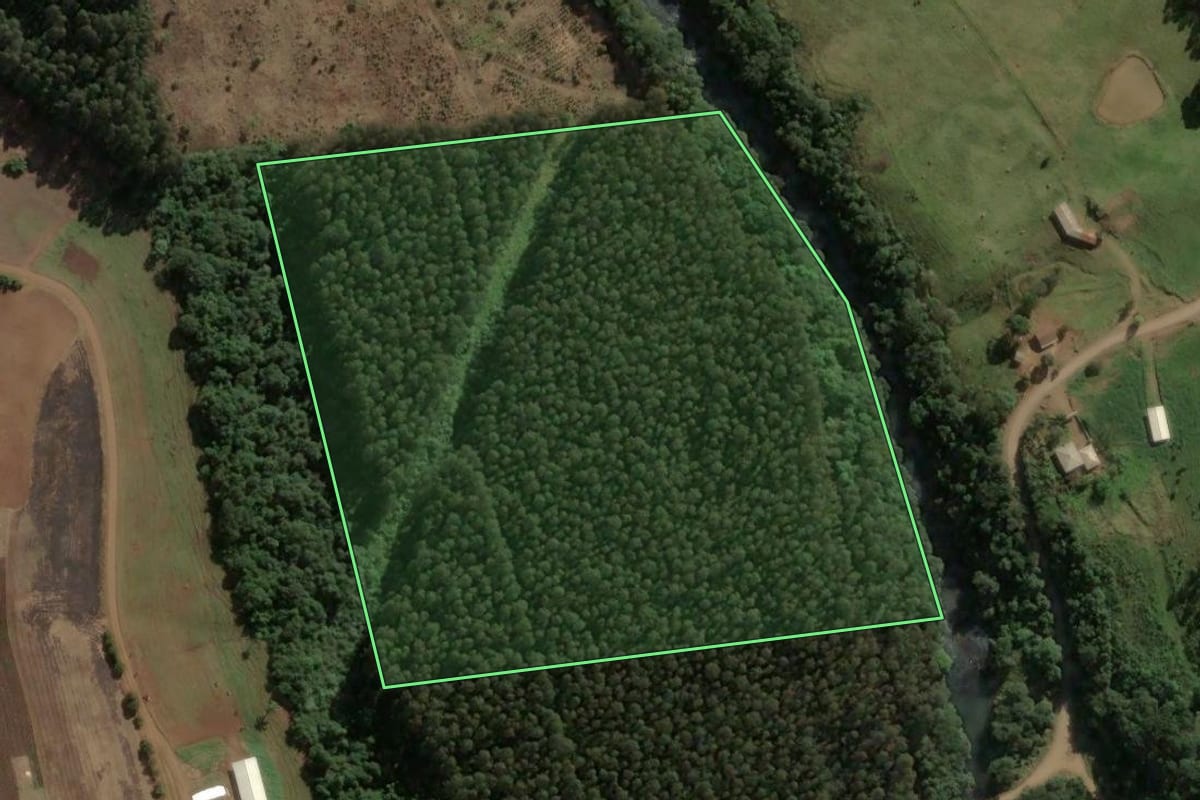 Imagem de satélite do imóvel rural em Lindóia do Sul (SC), com o contorno declarado no CAR desenhado por cima.
