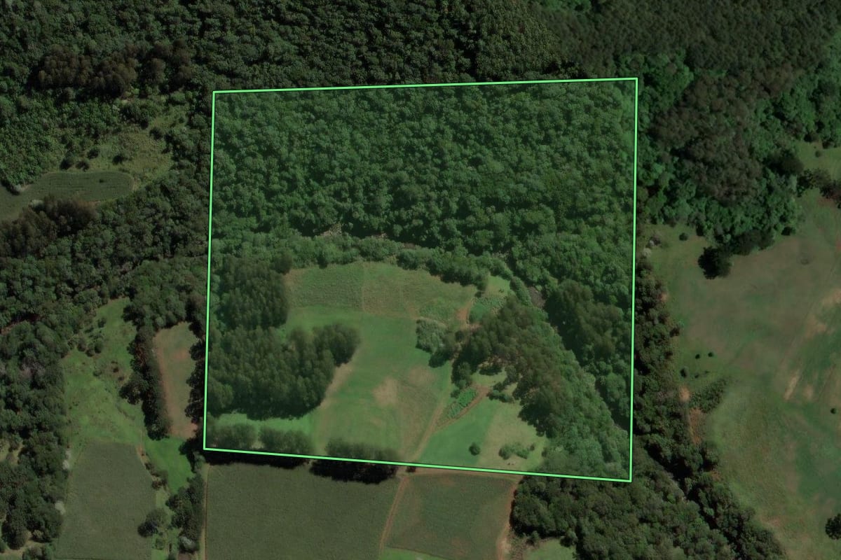 Imagem de satélite do imóvel rural em Lindóia do Sul (SC), com o contorno declarado no CAR desenhado por cima.