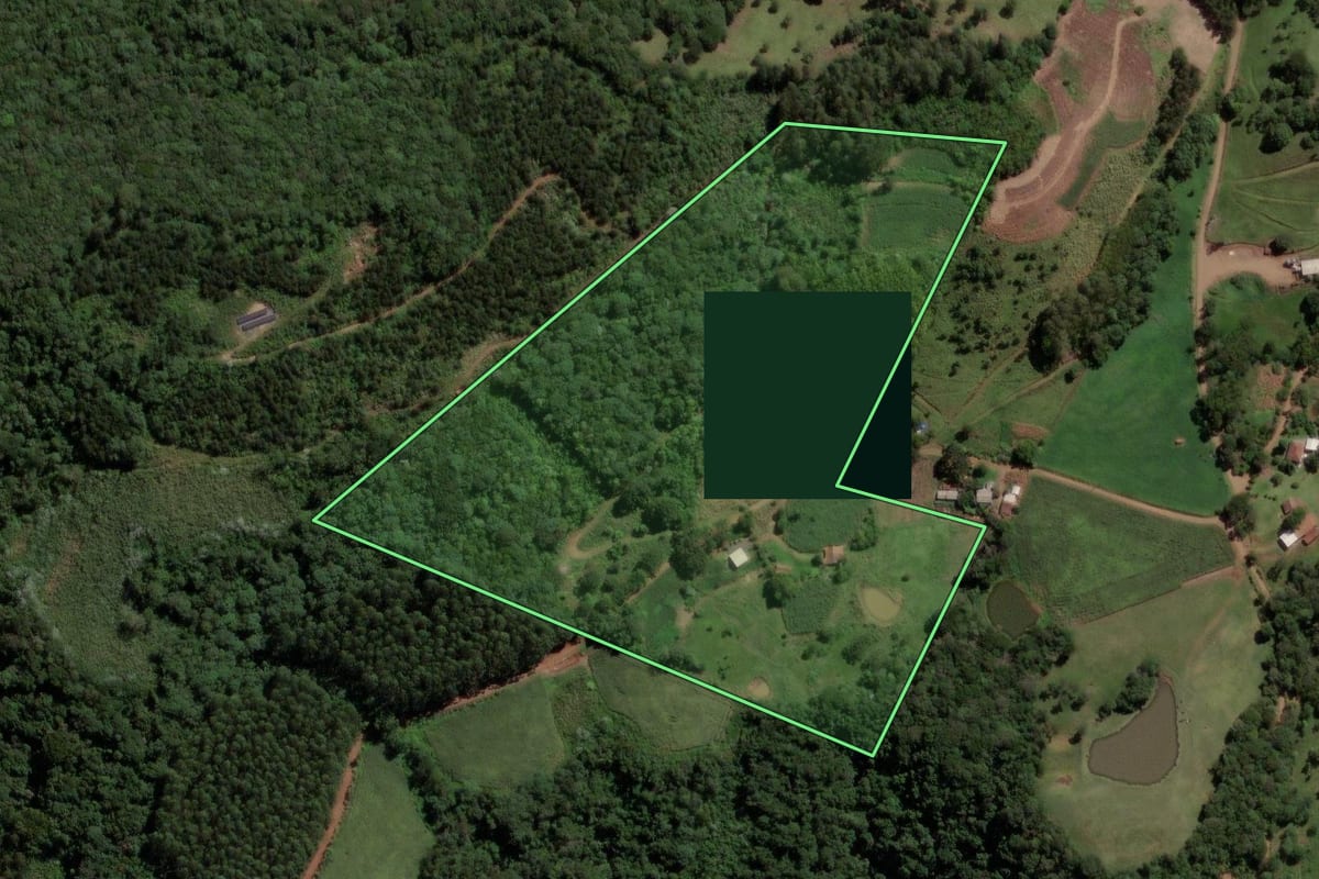 Imagem de satélite do imóvel rural em Lindóia do Sul (SC), com o contorno declarado no CAR desenhado por cima.