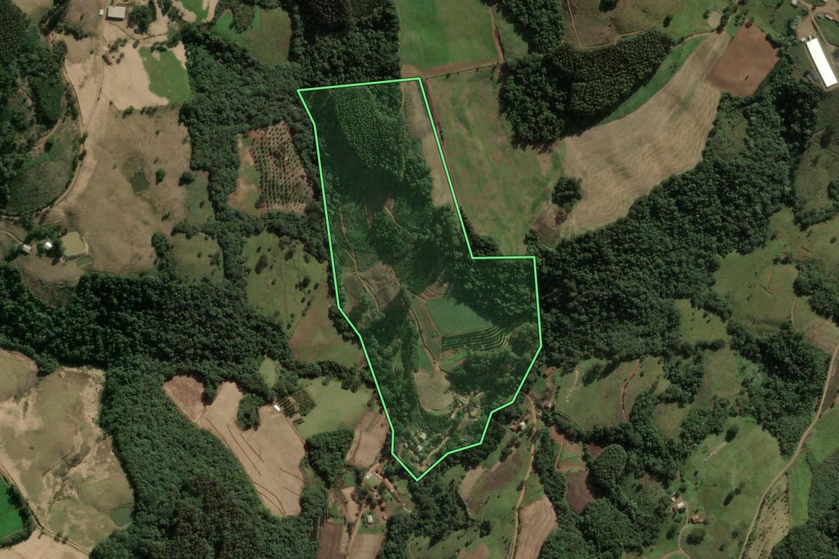 Imagem de satélite do imóvel rural em Lindóia do Sul (SC), com o contorno declarado no CAR desenhado por cima.