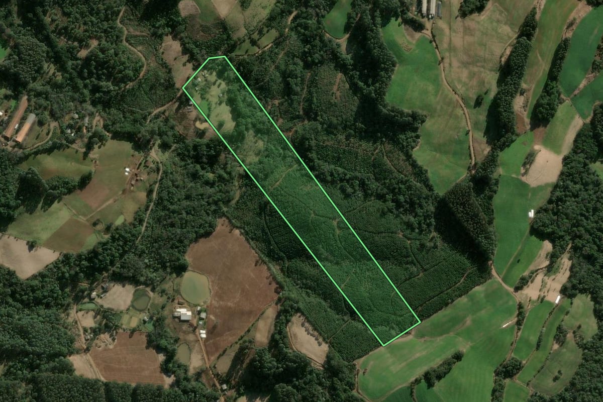 Imagem de satélite do imóvel rural em Lindóia do Sul (SC), com o contorno declarado no CAR desenhado por cima.