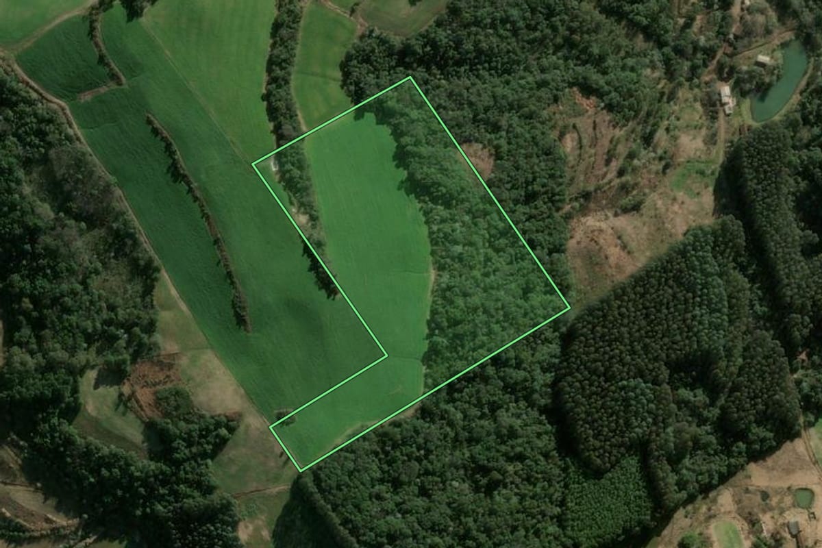 Imagem de satélite do imóvel rural em Lindóia do Sul (SC), com o contorno declarado no CAR desenhado por cima.