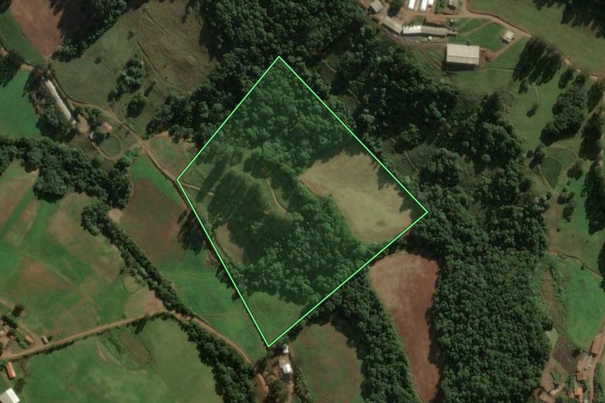 Imagem de satélite do imóvel rural em Lindóia do Sul (SC), com o contorno declarado no CAR desenhado por cima.
