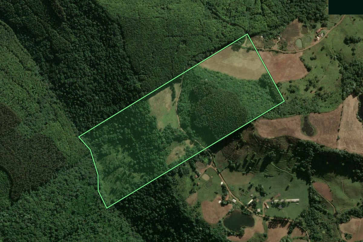 Imagem de satélite do imóvel rural em Lindóia do Sul (SC), com o contorno declarado no CAR desenhado por cima.