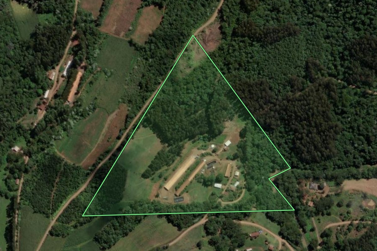 Imagem de satélite do imóvel rural em Lindóia do Sul (SC), com o contorno declarado no CAR desenhado por cima.