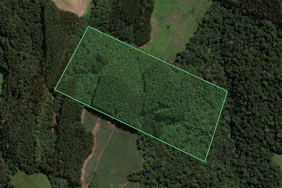 Imagem de satélite do imóvel rural em Lindóia do Sul (SC), com o contorno declarado no CAR desenhado por cima.