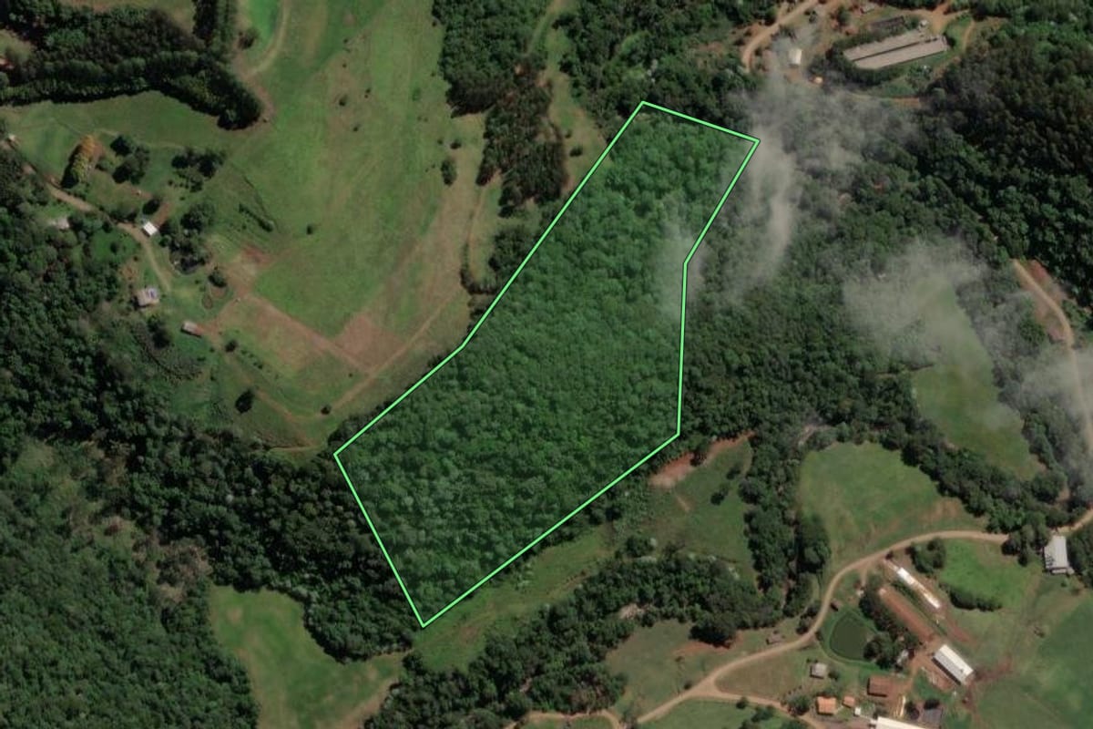 Imagem de satélite do imóvel rural em Lindóia do Sul (SC), com o contorno declarado no CAR desenhado por cima.