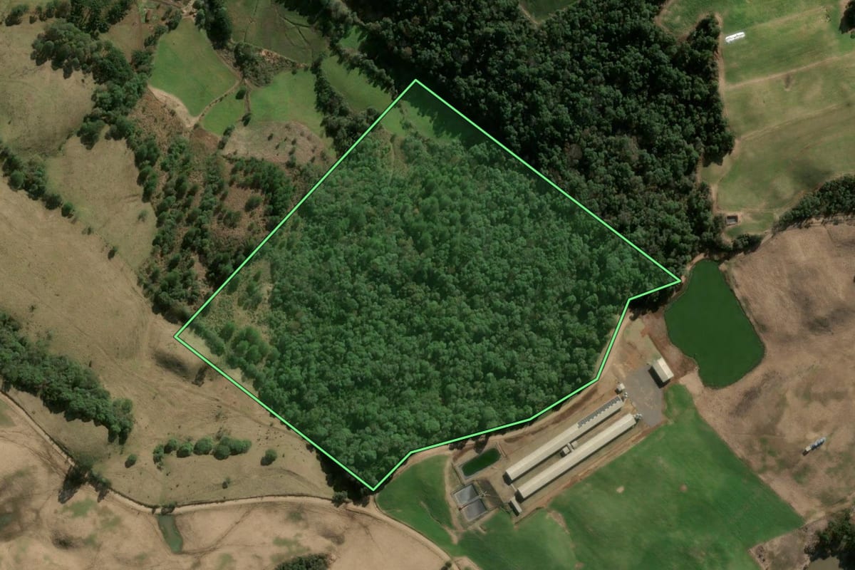 Imagem de satélite do imóvel rural em Lindóia do Sul (SC), com o contorno declarado no CAR desenhado por cima.