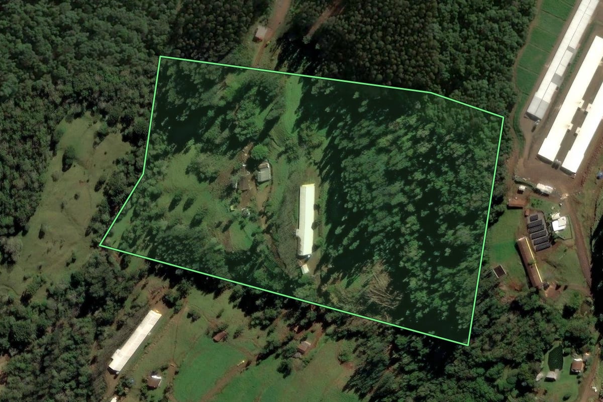 Imagem de satélite do imóvel rural em Lindóia do Sul (SC), com o contorno declarado no CAR desenhado por cima.