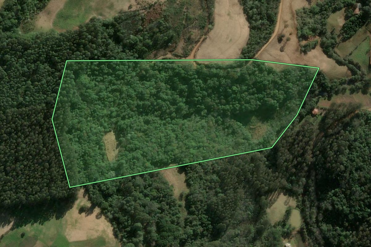 Imagem de satélite do imóvel rural em Lindóia do Sul (SC), com o contorno declarado no CAR desenhado por cima.