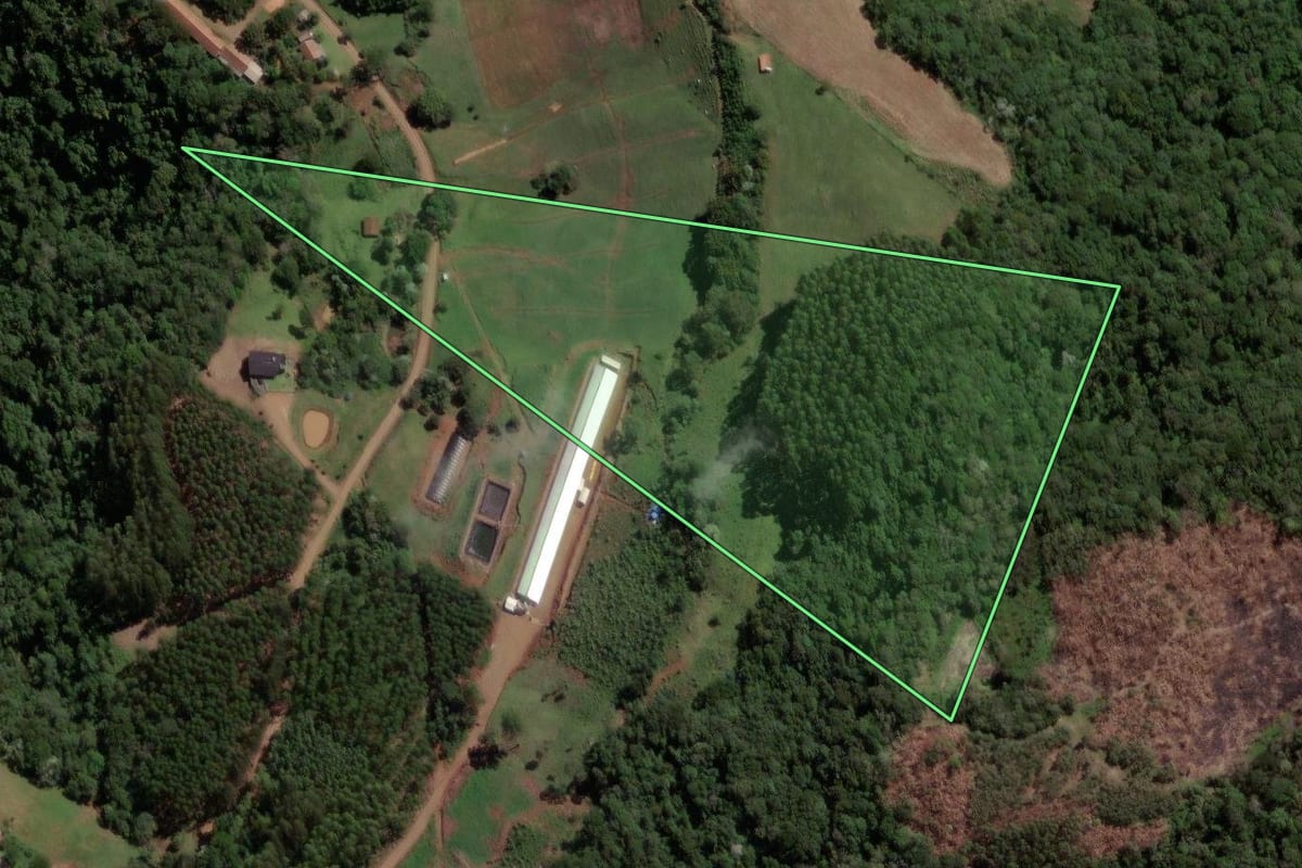 Imagem de satélite do imóvel rural em Lindóia do Sul (SC), com o contorno declarado no CAR desenhado por cima.