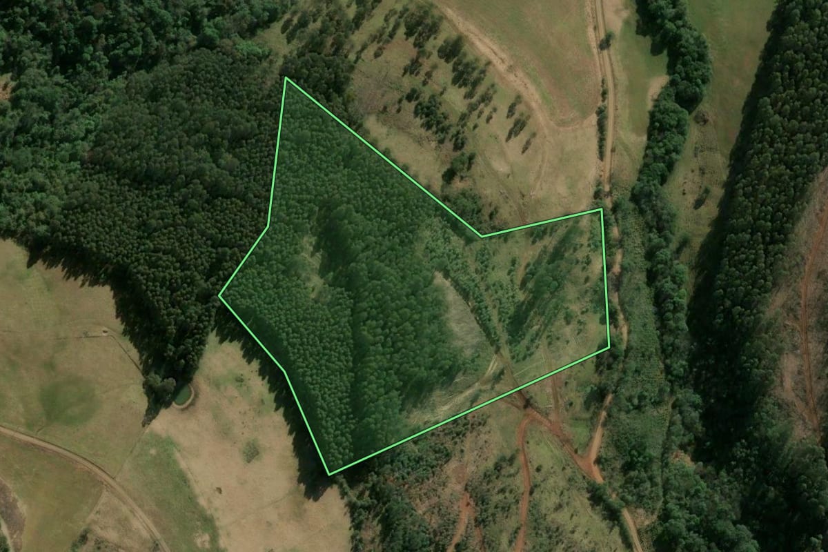 Imagem de satélite do imóvel rural em Lindóia do Sul (SC), com o contorno declarado no CAR desenhado por cima.